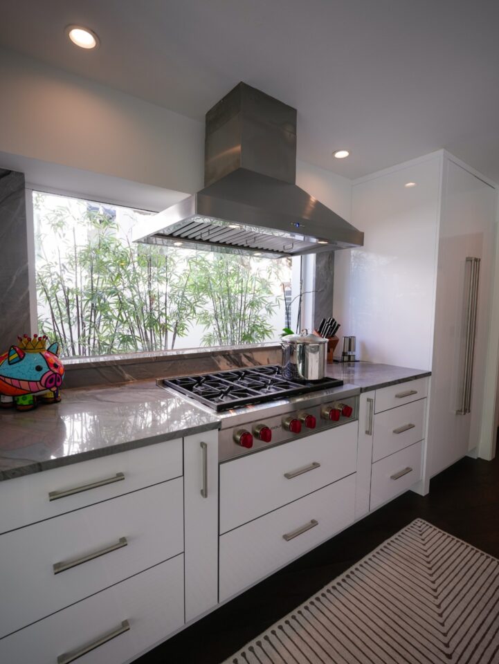 professional range quartzite counters
